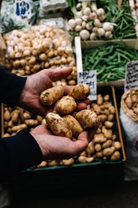 jersey royal potatoes in sacks for sale at a market