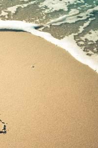 FAQ written in sand with sea 